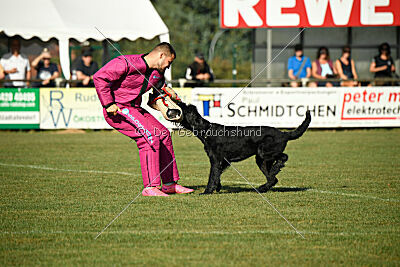 Figo vom Wiesengrund