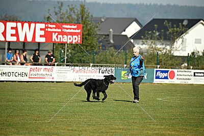 Figo vom Wiesengrund