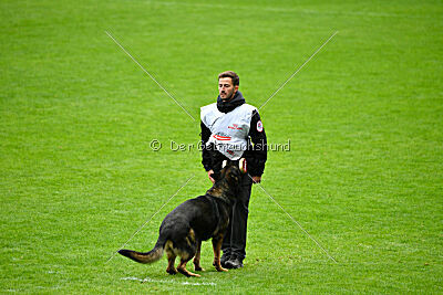 Finchpark Athos