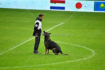 Finchpark Athos