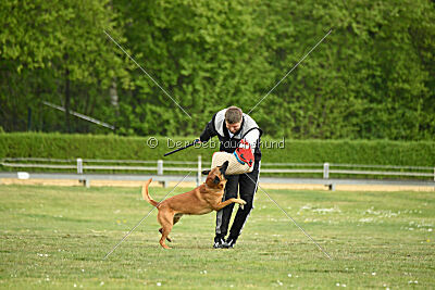 Findus von Maliattack