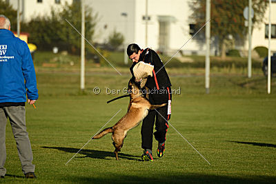 Fine von den Räuberwegen