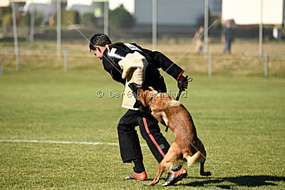 Finn von den Räuberwegen