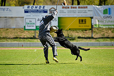 Finni vom Fuchsstein