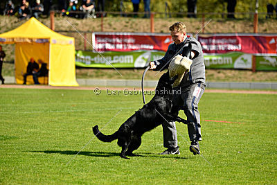 Finni vom Fuchsstein