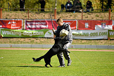 Finni vom Fuchsstein