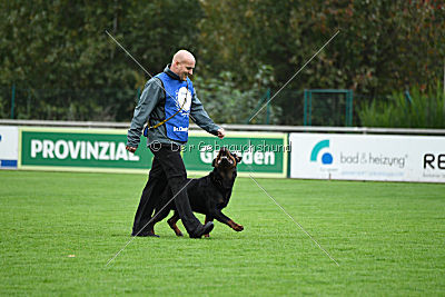 Fips vom Alten Troll