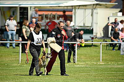 Fire vom schnellen Falken