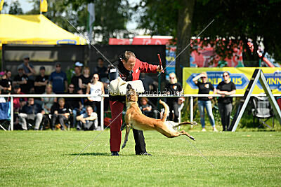Fire vom schnellen Falken