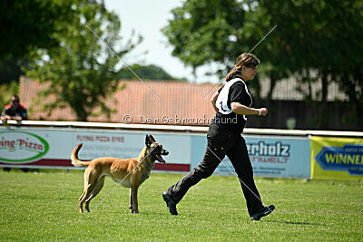 Fire vom schnellen Falken