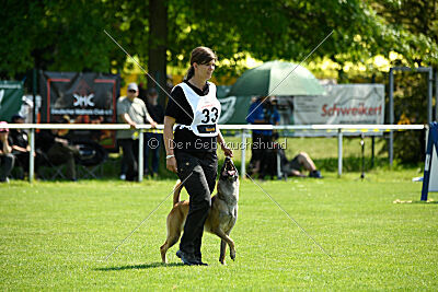 Fire vom schnellen Falken