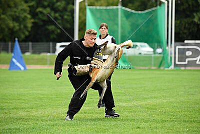 Fire vom schnellen Falken