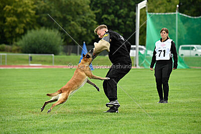 Fire vom schnellen Falken
