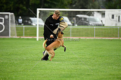 Fire vom schnellen Falken