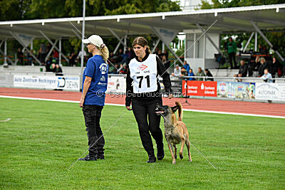 Fire vom schnellen Falken