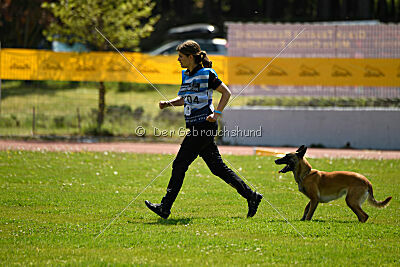 Fire vom schnellen Falken