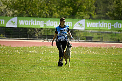 Fire vom schnellen Falken