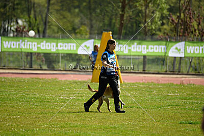 Fire vom schnellen Falken