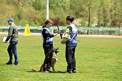 Fire vom schnellen Falken