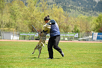 Fire vom schnellen Falken