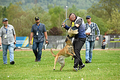 Fire vom schnellen Falken