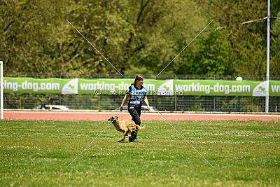 Fire vom schnellen Falken