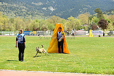 Fire vom schnellen Falken