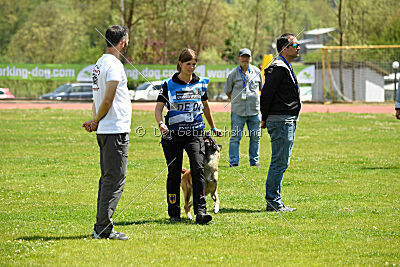 Fire vom schnellen Falken