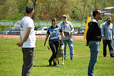 Fire vom schnellen Falken