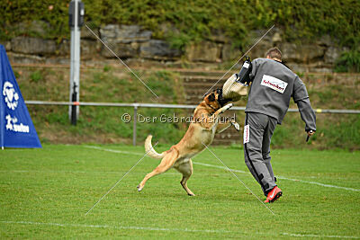 Flash von Malihattan