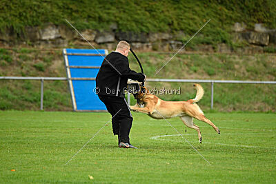 Flash von Malihattan