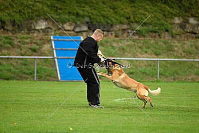 Flash von Malihattan