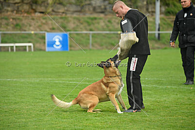 Flash von Malihattan