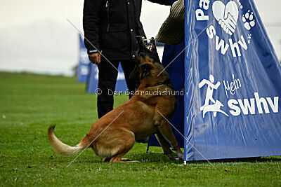 Flash von Malihattan