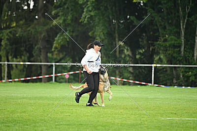 Flash von Malihattan