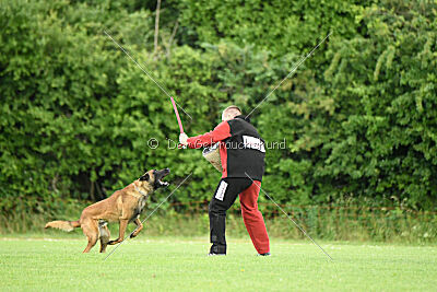 Flick vom roten Drachen