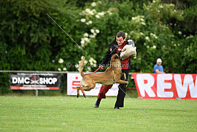 Flick vom roten Drachen