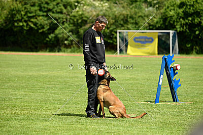 Flick vom roten Drachen