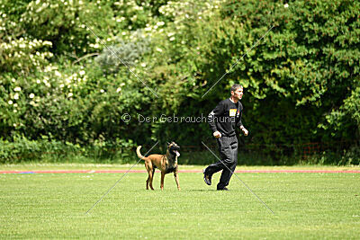 Flick vom roten Drachen