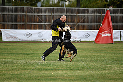 Forrest del Camino Duro