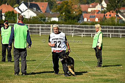 Forrest del Camino Duro