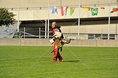 Fox von der schoenen Ecke