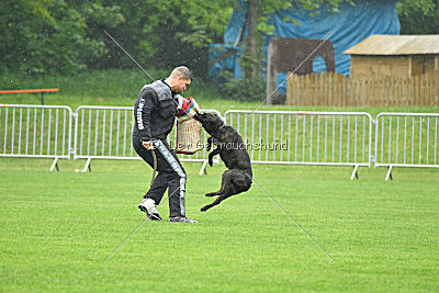 Foxy-Ellik of Flying Attacks