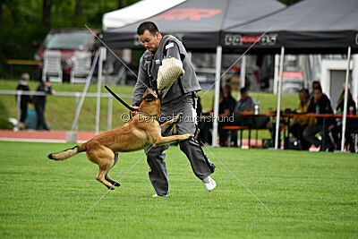 Freak von Malihattan