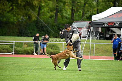 Freak von Malihattan