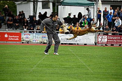 Freak von Malihattan