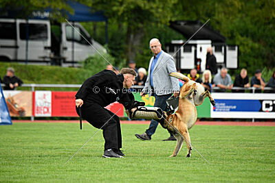 Freak von Malihattan