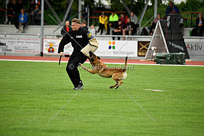 Freak von Malihattan