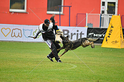 Freddy Tespo Bohemia