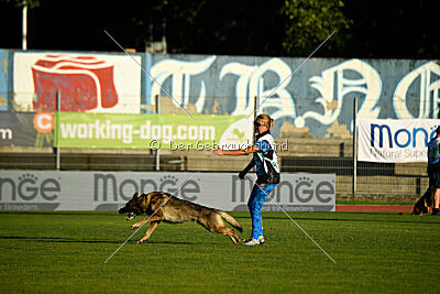 Freddy Tespo Bohemia